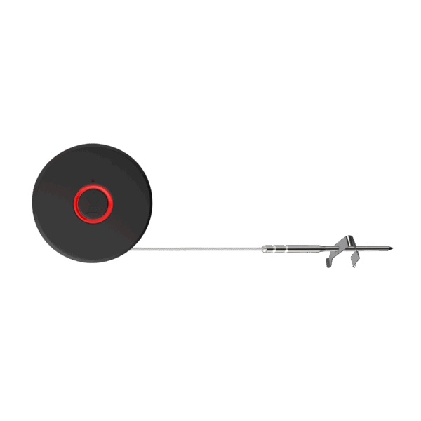 Weber Smart Probe and Grate Sensor - Image 4