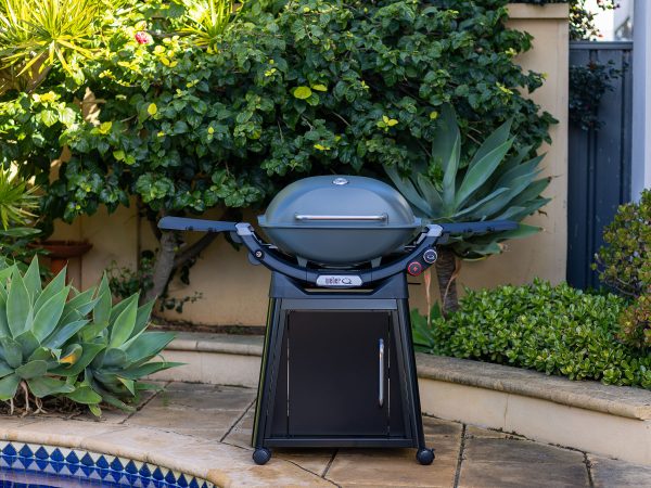 Weber Family Q+ Premium (Q3200N+) Charcoal Grey NG - Image 4