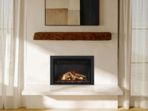 Regency Ei25 Electric Insert