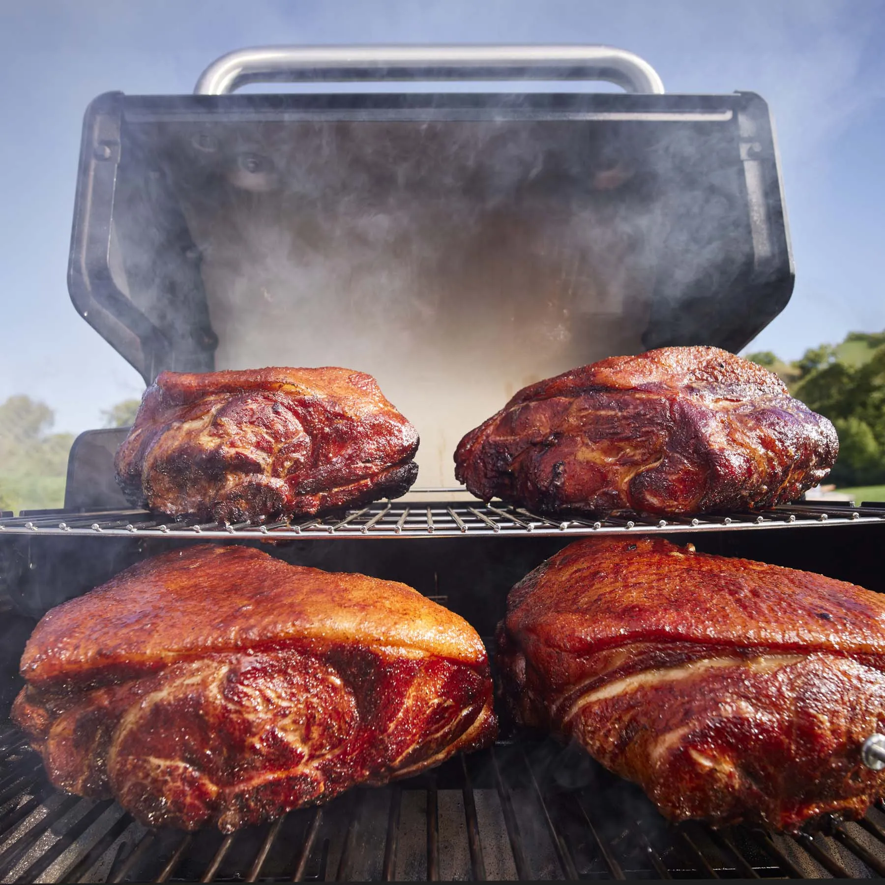 Weber Spirit E-325 BBQ