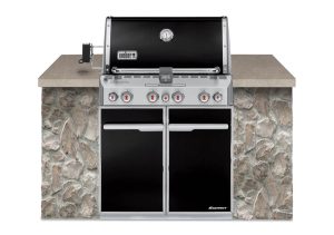 Weber Summit E-460