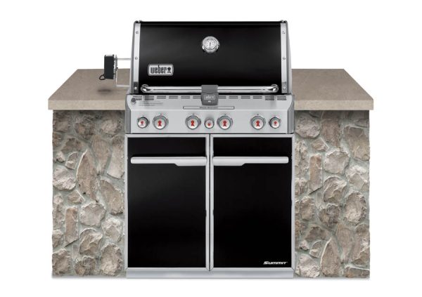 Weber Summit E-460
