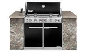 Weber Summit E-660
