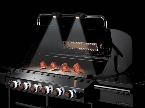 Weber Summit E-670 - Image 2