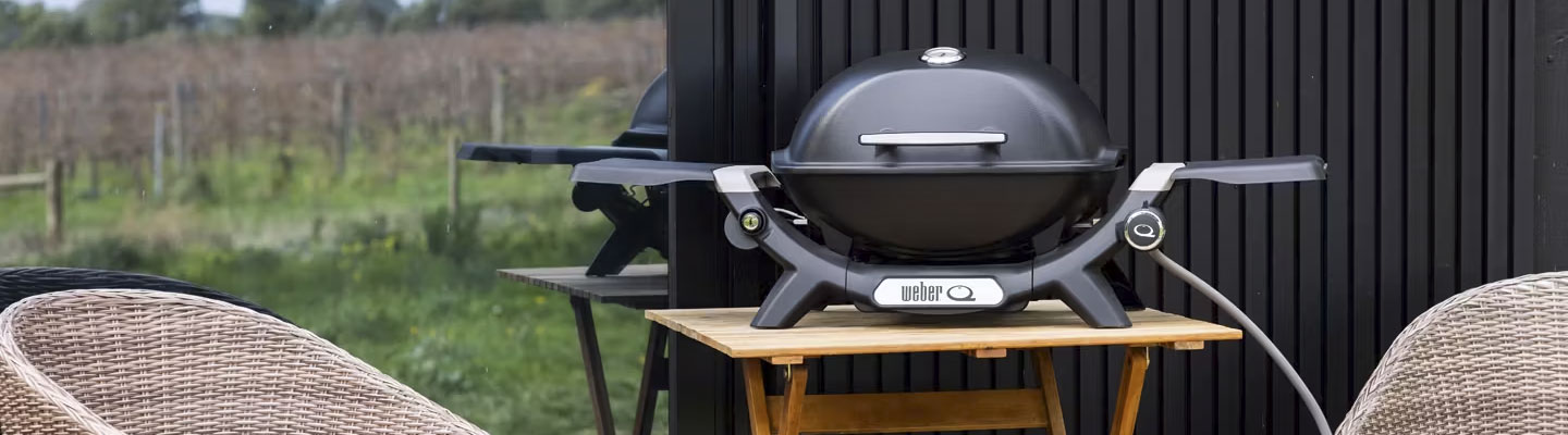 Weber Baby Q Series