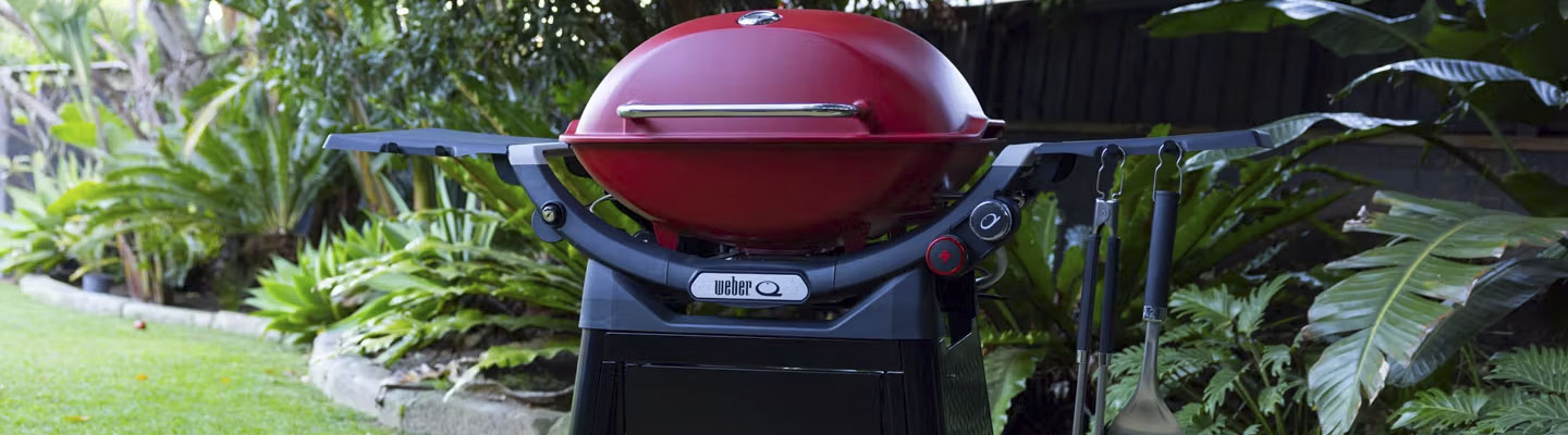 Weber Family Q Series